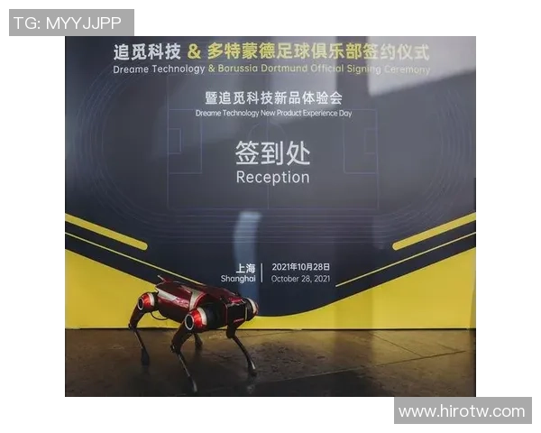 南京足球队盯防体系解析与战术运用的深度探讨